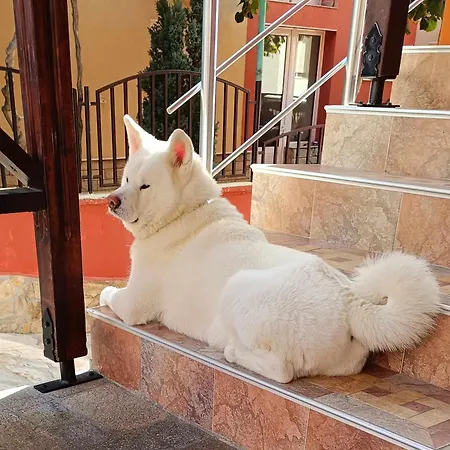 виктория Hotel Sozopol