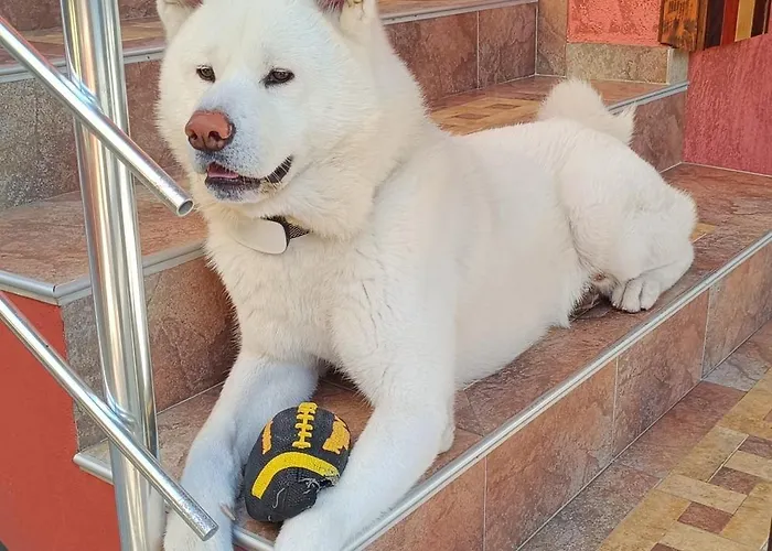 виктория 3* Sozopol