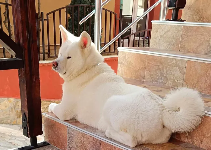 виктория Hotel Sozopol